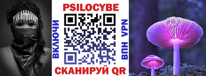 Псилоцибиновые грибы прущие грибы  Иннополис 